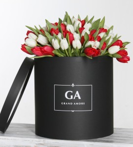 Тюльпаны в коробке Megan